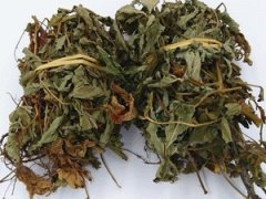 朝陽(yáng)百康中藥材仙鶴草
