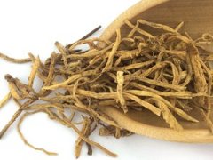 朝陽(yáng)百康中藥材龍膽